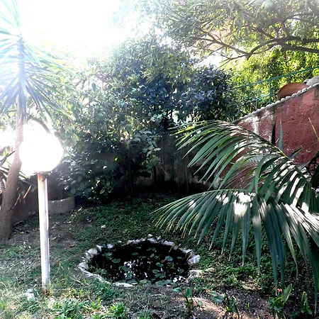 Bed & Breakfast Rocla