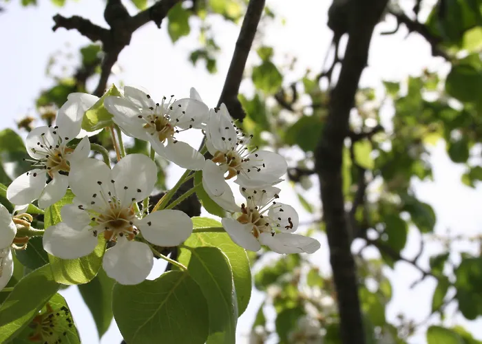 Rocla Bed & Breakfast